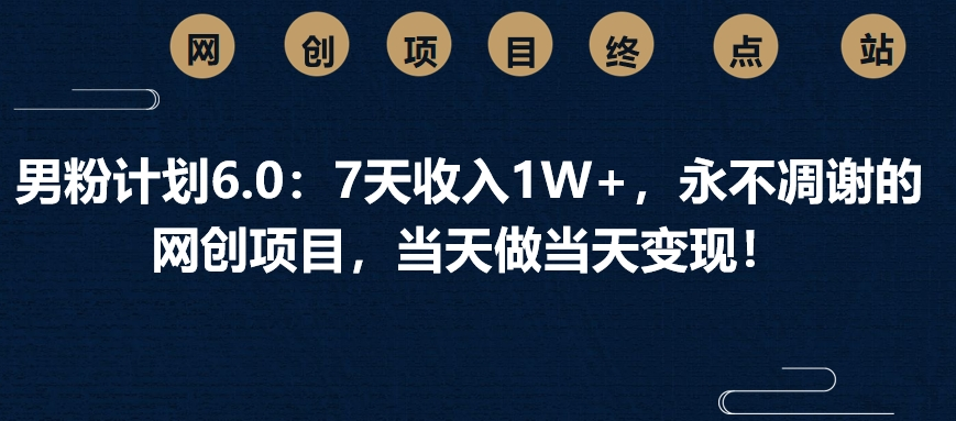 男粉计划6.0：7天收入1W+，永不凋谢的网创项目，当天做当天变现！|琦哥资源