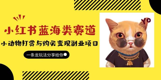 小红书蓝海类赛道：小动物打赏与购买变现副业项目，一条龙玩法分享给你|琦哥资源