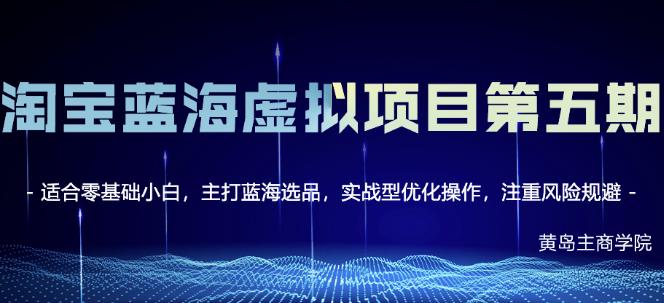 淘宝虚拟无货源3.0+4.0+5.0，适合零基础小白，主打蓝海选品，实战型优化操作|琦哥资源