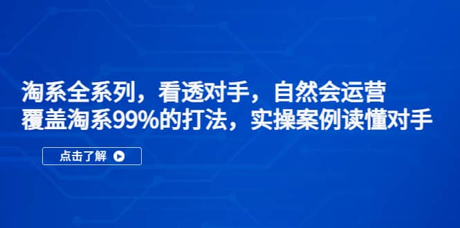 淘系全系列，看透对手，自然会运营，覆盖淘系99%·打法，实操案例读懂对手|琦哥资源