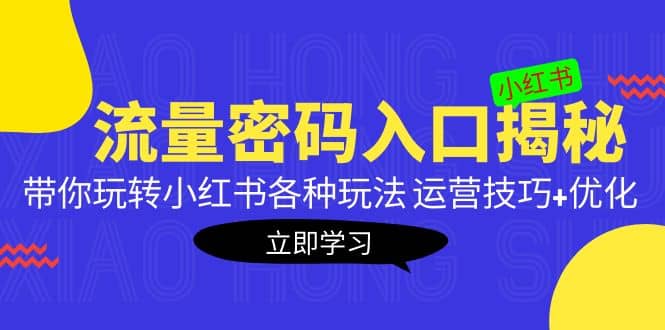 小红书流量密码入口揭秘：带你玩转小红书各种玩法 运营技巧+优化|琦哥资源