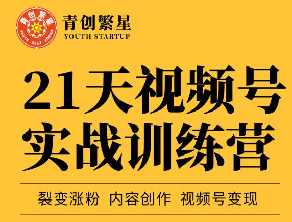 张萌21天视频号实战训练营，裂变涨粉、内容创作、视频号变现 价值298元|琦哥资源