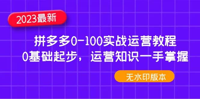 2023拼多多0-100实战运营教程，0基础起步，运营知识一手掌握（无水印）|琦哥资源