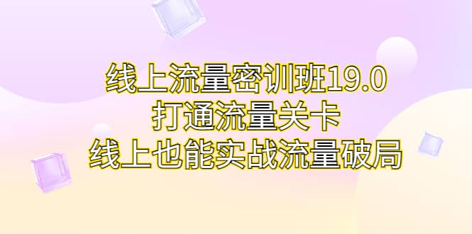 线上流量密训班19.0，打通流量关卡，线上也能实战流量破局|琦哥资源
