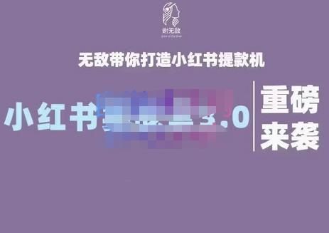 谢无敌·小红书实战营3.0，无敌带你打造小红书提款机 价值7999元|琦哥资源