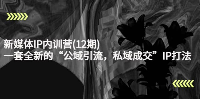 新媒体IP内训营(12期)，一套全新的“公域引流，私域成交”IP打法，直接带走|琦哥资源