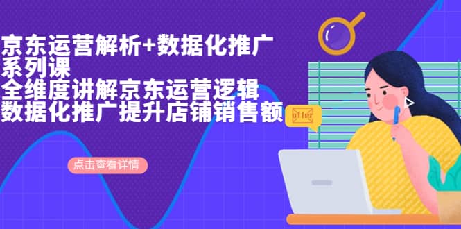 京东运营解析与数据化推广系列课，全维度讲解京东运营逻辑+数据化推广提升店铺销售额|琦哥资源