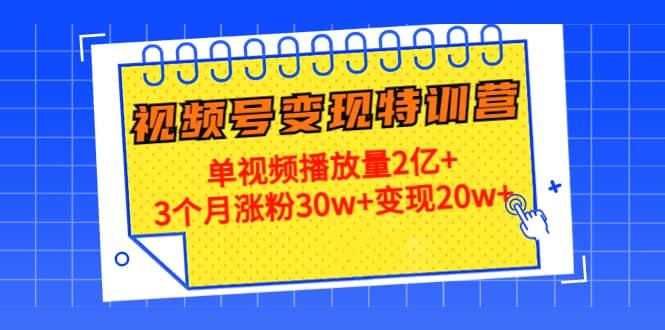 20天视频号变现特训营：单视频播放量2亿+|琦哥资源