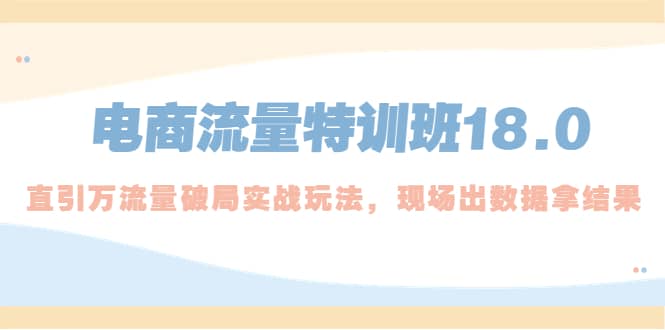 电商流量特训班18.0，直引万流量破局实操玩法，现场出数据拿结果|琦哥资源