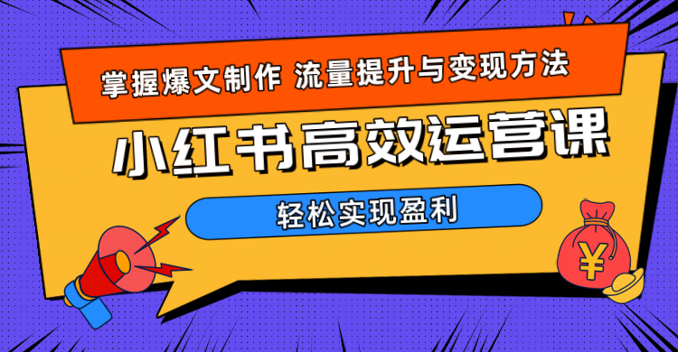 价值980小红书运营操作指南|琦哥资源