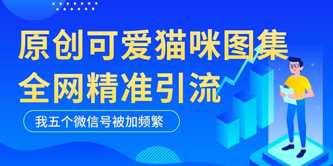 黑科技纯原创可爱猫咪图片，全网精准引流，实操5个VX号被加频繁|琦哥资源