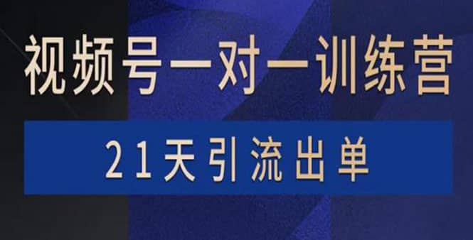 视频号训练营：带货，涨粉，直播，游戏，四大变现新方向，21天引流出单|琦哥资源