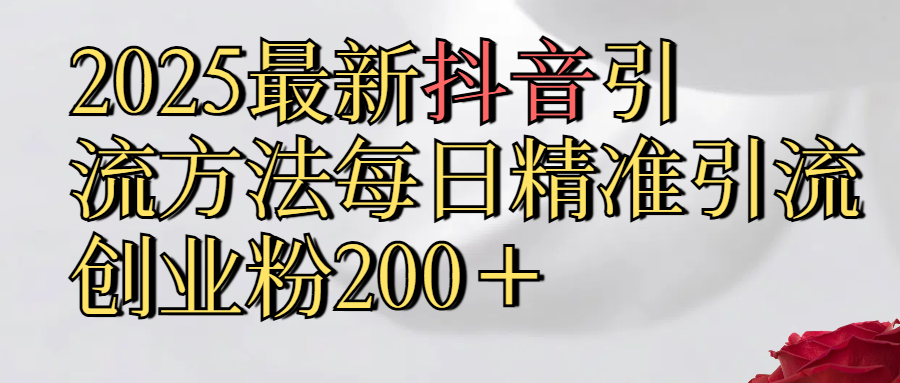 2025最新,抖音引流,方法每日精准引流创业粉300＋|琦哥资源