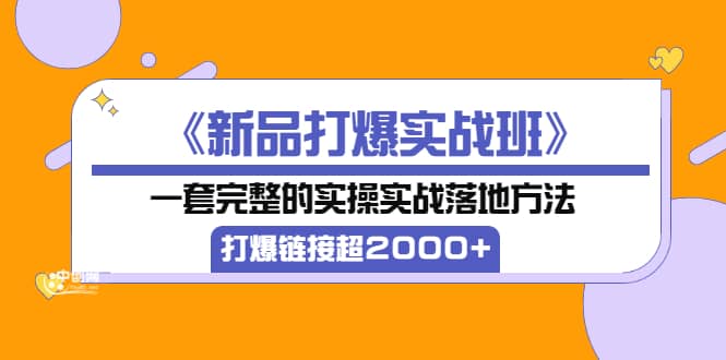 《新品打爆实战班》一套完整的实操实战落地方法，打爆链接超2000+（38节课)|琦哥资源