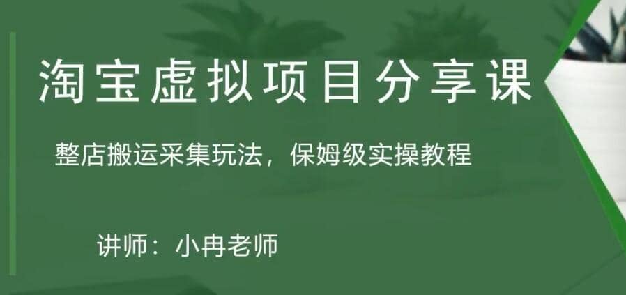 淘宝虚拟整店搬运采集玩法分享课：整店搬运采集玩法，保姆级实操教程|琦哥资源