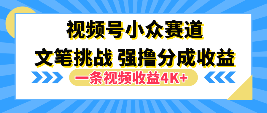 视频号小众赛道，文笔挑战，一条视频收益4K+|琦哥资源