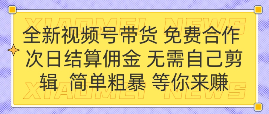 全新视频号 免费合作 佣金次日结算 无需自己剪辑|琦哥资源
