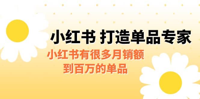 某公众号付费文章《小红书 打造单品专家》小红书有很多月销额到百万的单品|琦哥资源