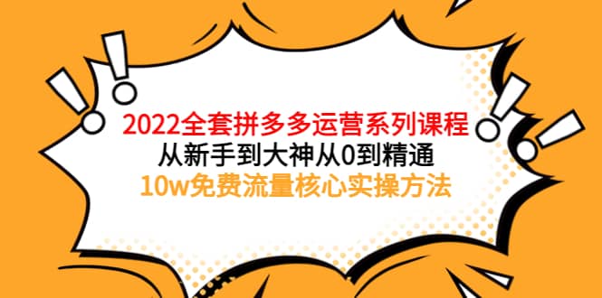 2022全套拼多多运营课程，从新手到大神从0到精通，10w免费流量核心实操方法|琦哥资源