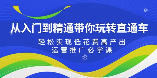 从入门到精通带你玩转直通车：轻松实现低花费高产出，35节运营推广必学课|琦哥资源