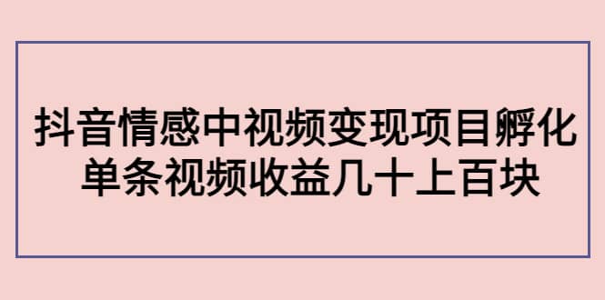 抖音情感中视频变现项目孵化|琦哥资源