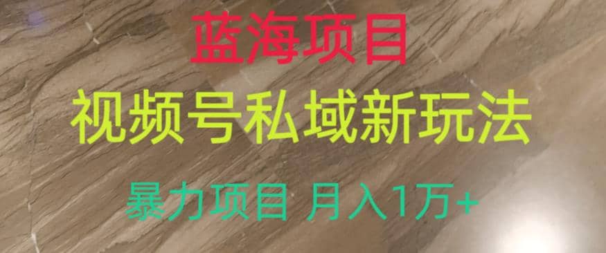 蓝海项目，视频号私域新玩法，暴力项目月入1万+【揭秘】|琦哥资源