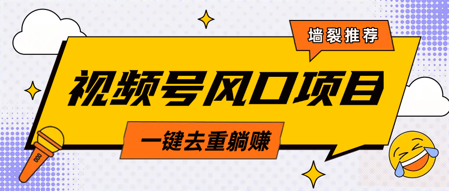 视频号风口蓝海项目，中老年人的流量密码，简单无脑，一键去重，轻松月入过万|琦哥资源