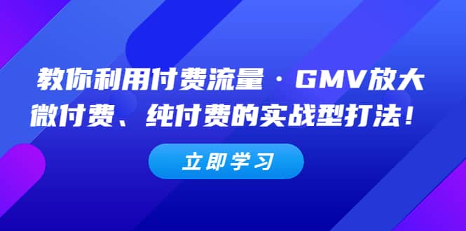 教你利用付费流量·GMV放大，微付费、纯付费的实战型打法|琦哥资源