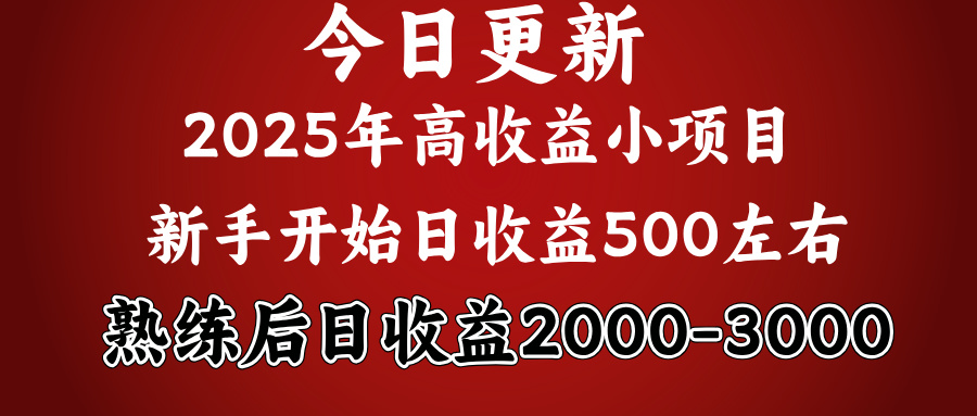 2025开年好项目，新手日收益500+ 熟练掌握后，日收益平均2000多|琦哥资源