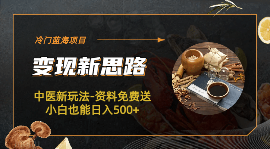 冷门蓝海项目-中医新玩法-冷门蓝海项目-中医新玩法-资料免费送小白也能日入500+500+|琦哥资源