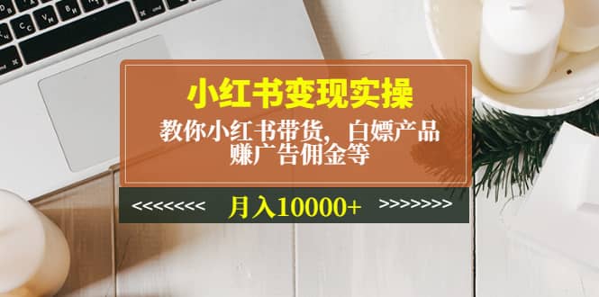 小红书变现实操：教你小红书带货，白嫖产品，赚广告佣金等|琦哥资源