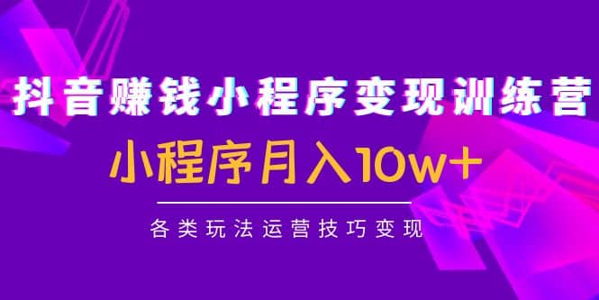 抖音小程序变现训练营：小程序各类玩法运营技巧变现|琦哥资源