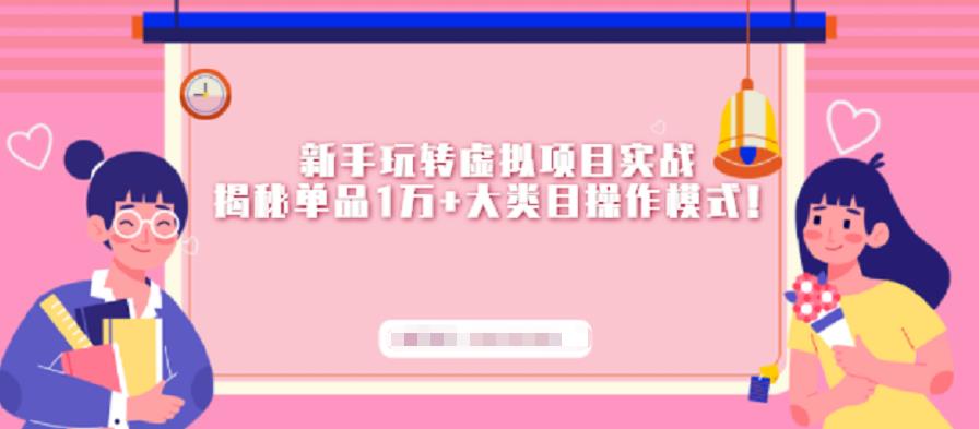 新手玩转虚拟项目实战，揭秘单品1万+大类目操作模式【视频课程】|琦哥资源