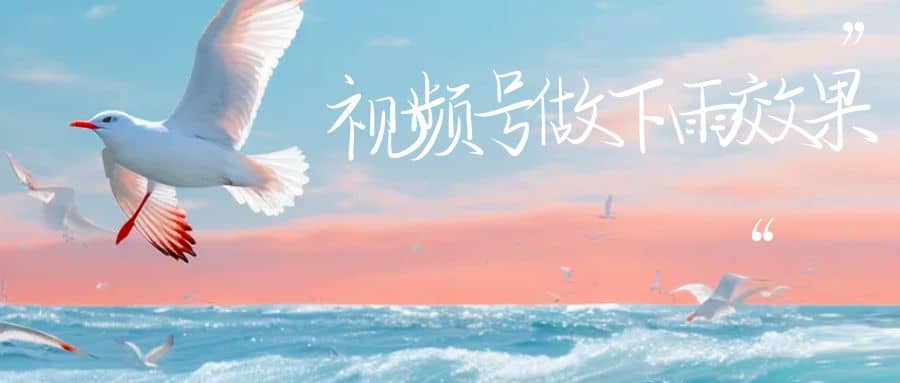 视频号做下雨视频一个账号一周涨粉10W+年入100w|琦哥资源