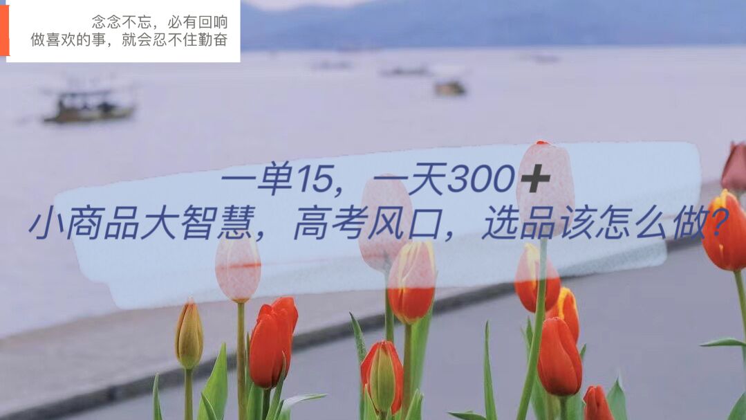 一单15，一天300+，小商品大智慧，高考风口，选品该怎么布局|琦哥资源