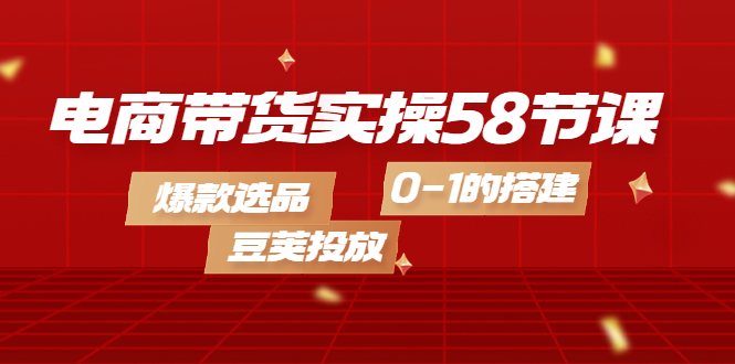 电商带货实操58节课，爆款选品，豆荚投放，0-1的搭建|琦哥资源