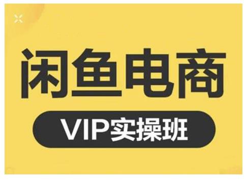 闲鱼电商零基础入门到进阶VIP实战课程，帮助你掌握闲鱼电商所需的各项技能|琦哥资源