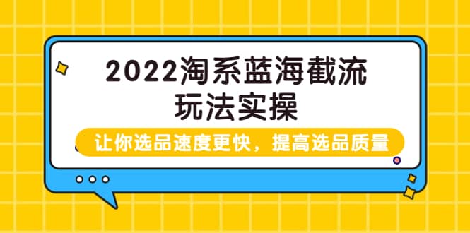 2022淘系蓝海截流玩法实操：让你选品速度更快，提高选品质量（价值599）|琦哥资源
