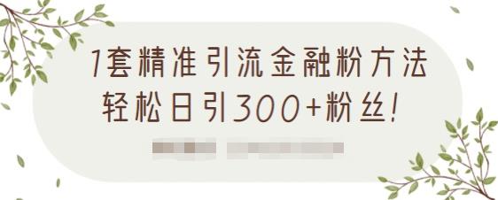 1套精准引流金融粉方法，轻松日引300+粉丝【视频课程】|琦哥资源