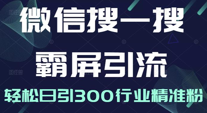 微信搜一搜霸屏引流课，打造被动精准引流系统，轻松日引300行业精准粉【无水印】|琦哥资源
