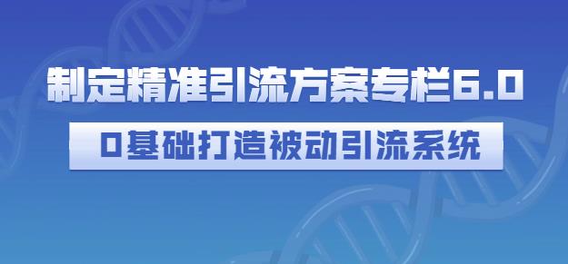 制定精准引流方案专栏6.0，0基础打造被动引流系统|琦哥资源