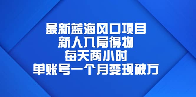 最新蓝海风口项目，新人入局得物，每天两小时，单账号一个月变现破万|琦哥资源