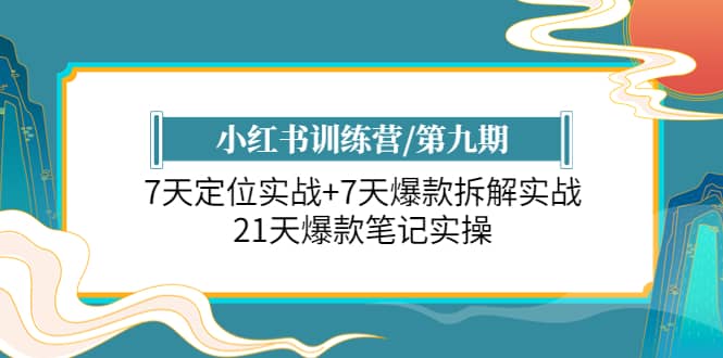 小红书训练营/第九期：7天定位实战+7天爆款拆解实战，21天爆款笔记实操|琦哥资源