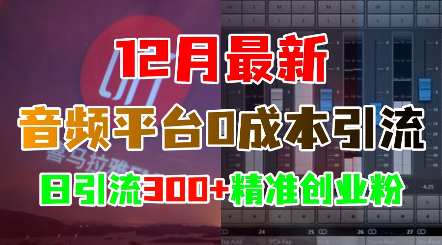 12月最新：音频平台0成本引流，日引300+精准创业粉|琦哥资源