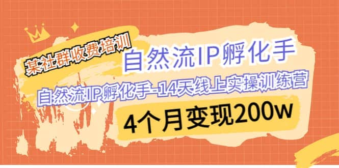 某社群收费培训：自然流IP 孵化手-14天线上实操训练营 4个月变现200w|琦哥资源