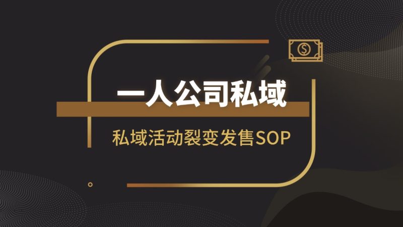 一人公司私域活动裂变发售SOP|琦哥资源