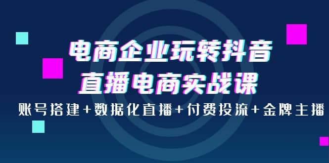 电商企业玩转抖音直播电商实战课：账号搭建+数据化直播+付费投流+金牌主播|琦哥资源