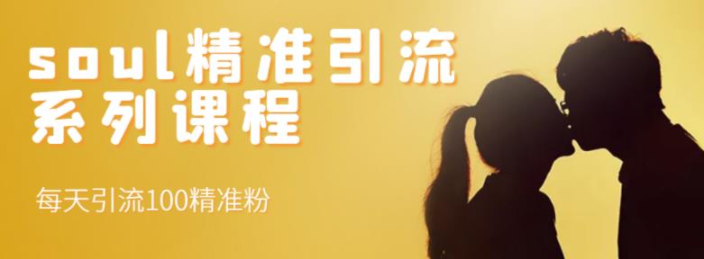 soul精准引流系列课程，每天引流100精准粉|琦哥资源
