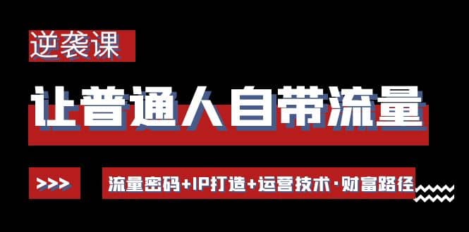 让普通人自带流量的逆袭课：流量密码+IP打造+运营技术·财富路径|琦哥资源