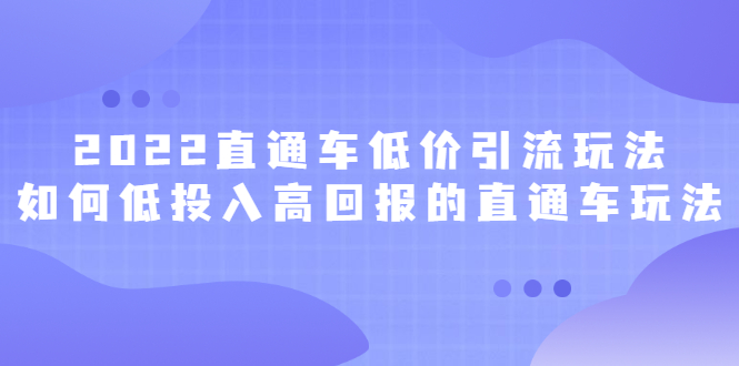 2022直通车低价引流玩法，教大家如何低投入高回报的直通车玩法|琦哥资源